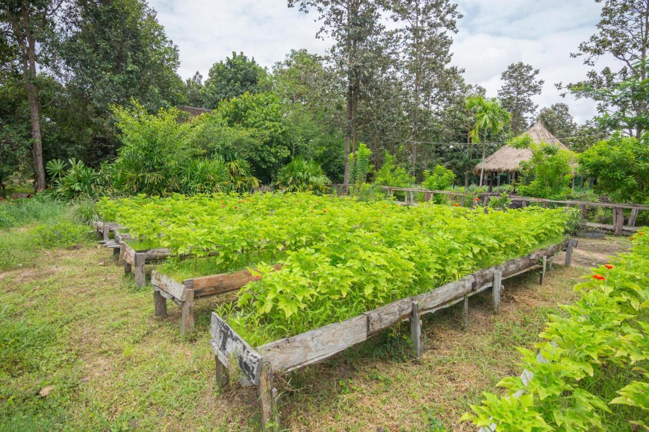 Bong Thom Forest Lodge Siem Reap Exterior foto